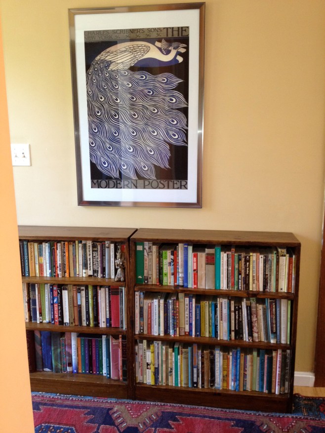 Bookshelves in the foyer.