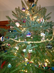 A beautiful live Douglas Fur.