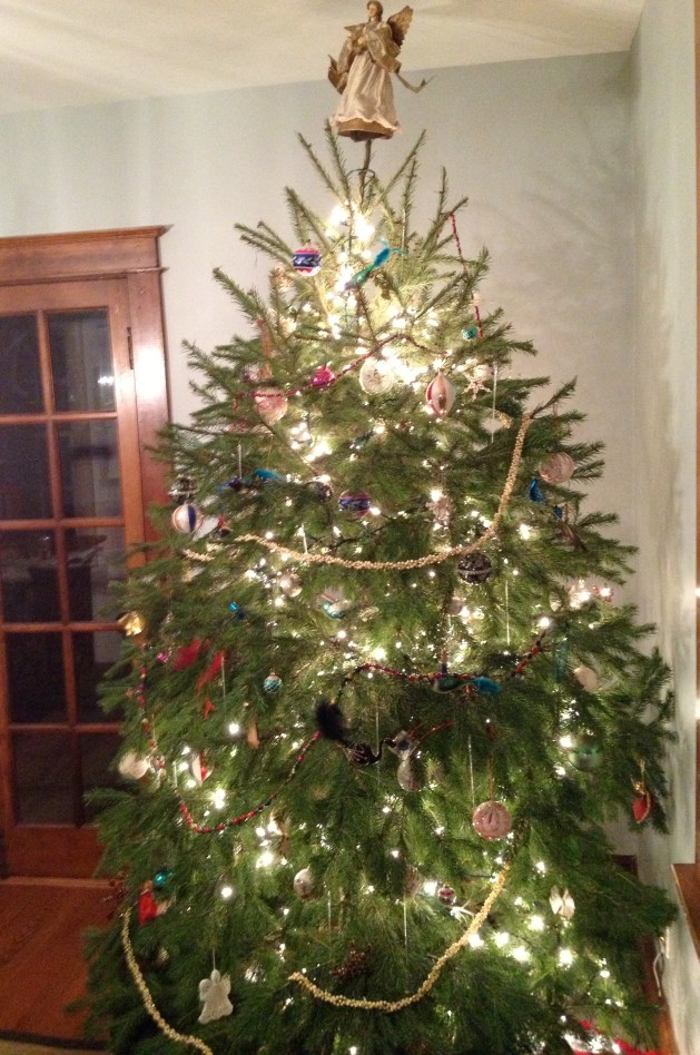 A traditional Christmas tree.
