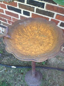 Rusty, old birdbath.