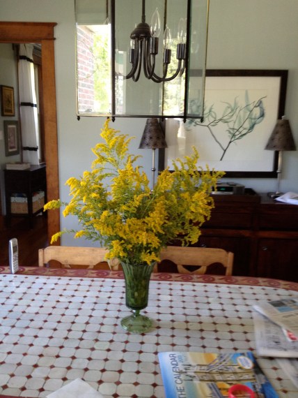 Goldenrod from the garden.