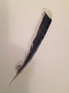 Feathers would look good too!