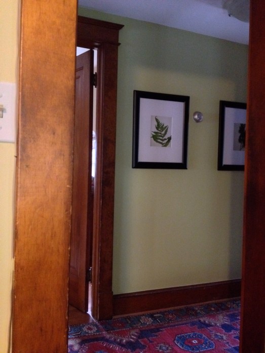 Benjamin Moore- Green Hydrangea.