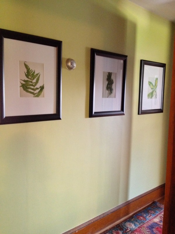 The Botanical Update.