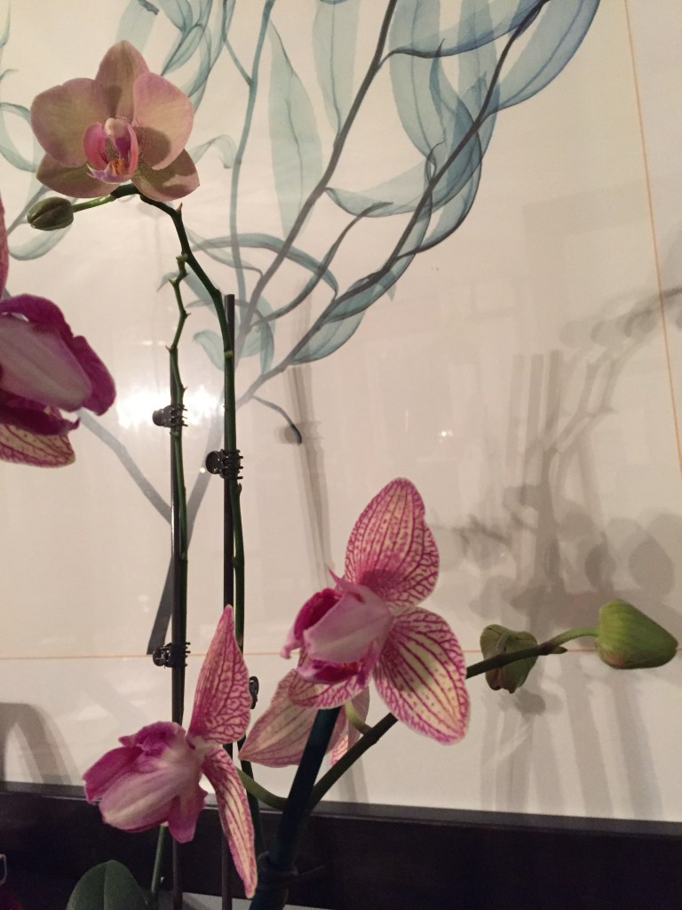 Orchids as sculpture