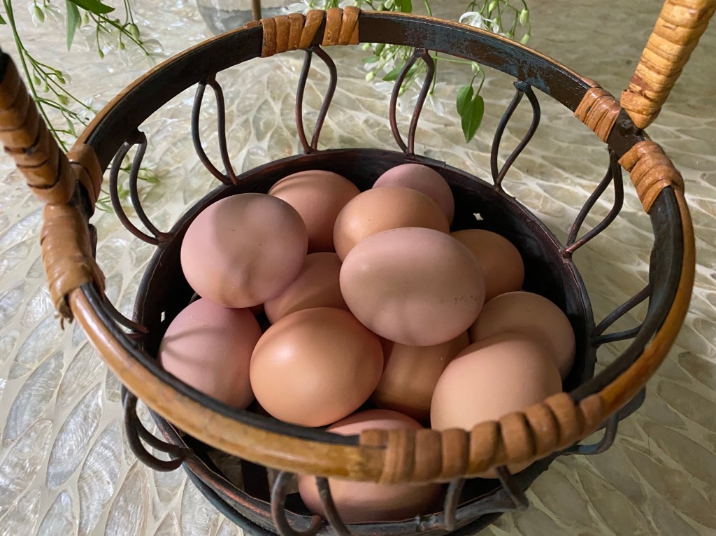 A basket full of eggs.