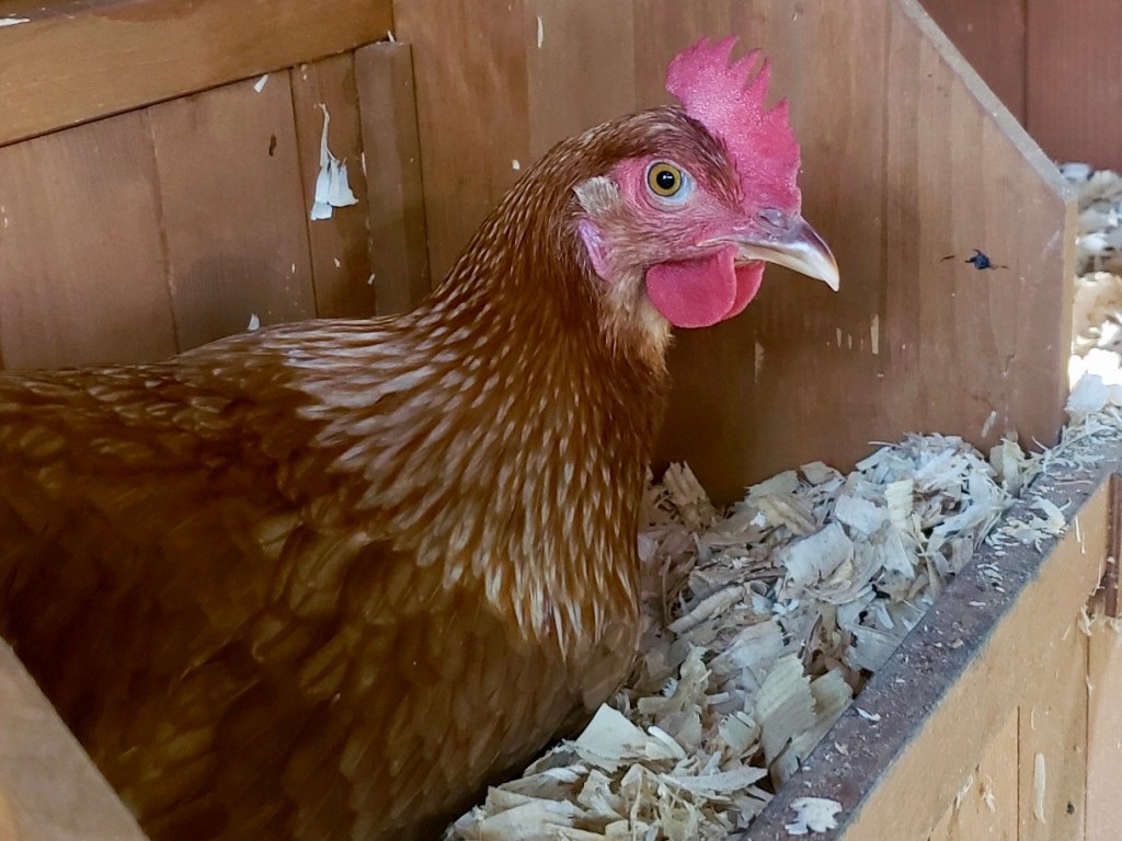 Reflections & Change